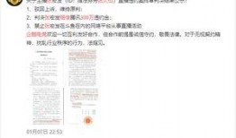 仙舟周本爆料视频完整版,揭秘游戏幕后故事与精彩瞬间